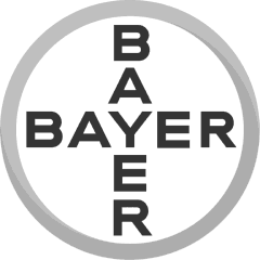 Bayer